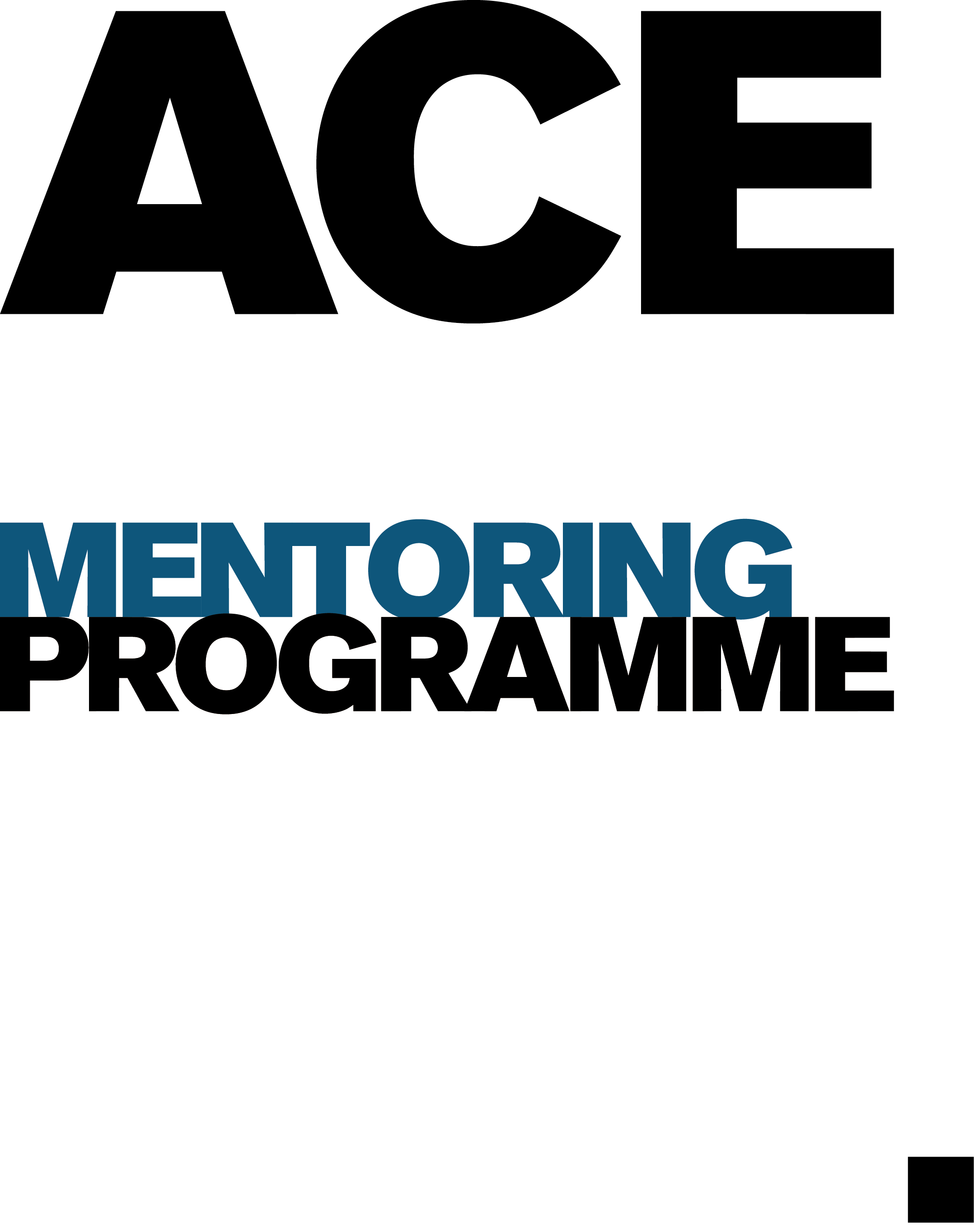 PRODUCERS SELECTED FOR THE ACE MENTORING PROGRAMME NL 2022